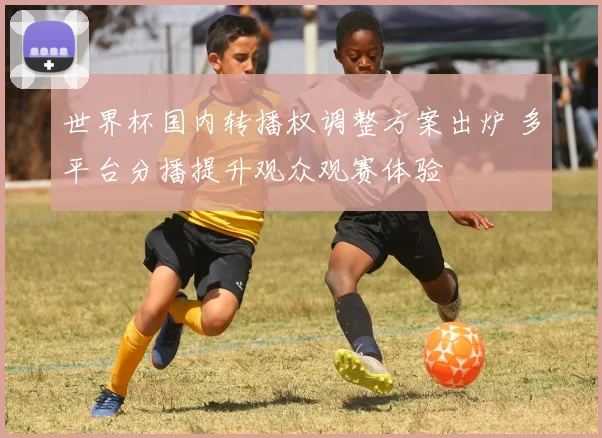世界杯国内转播权调整方案出炉 多平台分播提升观众观赛体验