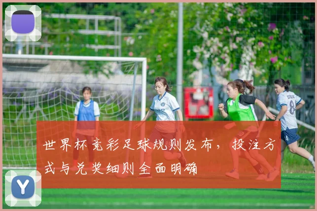 世界杯竞彩足球规则发布，投注方式与兑奖细则全面明确