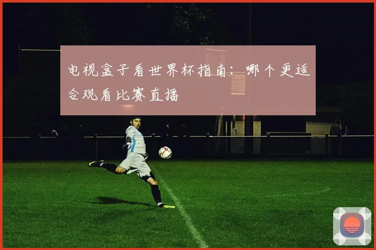 电视盒子看世界杯指南：哪个更适合观看比赛直播