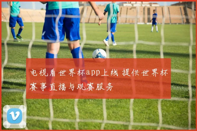 电视看世界杯app上线 提供世界杯赛事直播与观赛服务
