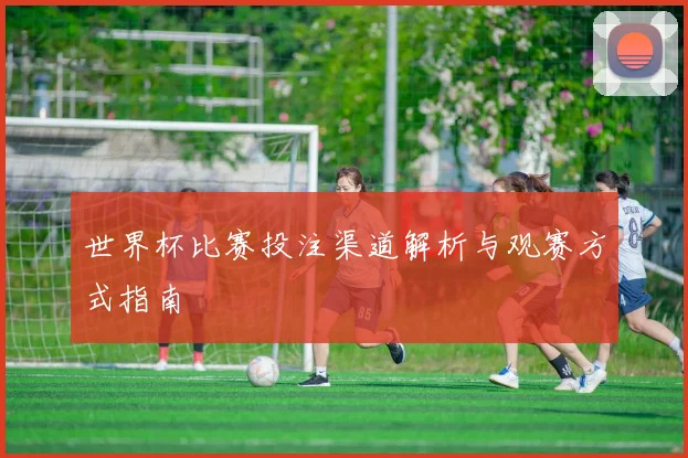 世界杯比赛投注渠道解析与观赛方式指南